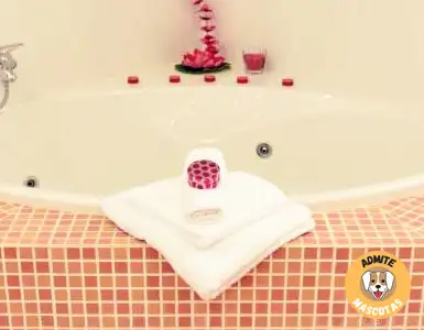 Hoteles con jacuzzi en la habitación Sevilla