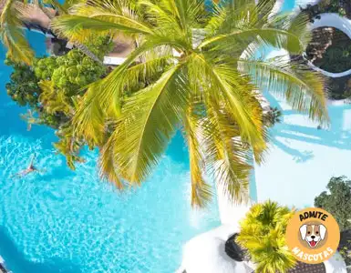 Hoteles todo incluido Tenerife