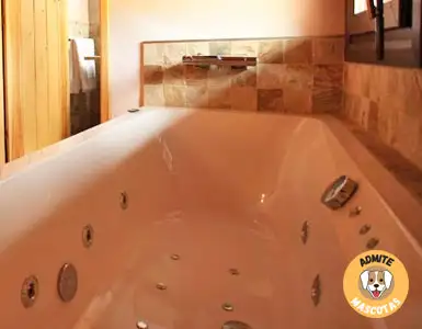 Hoteles con bañera de hidromasaje en la habitación Teruel