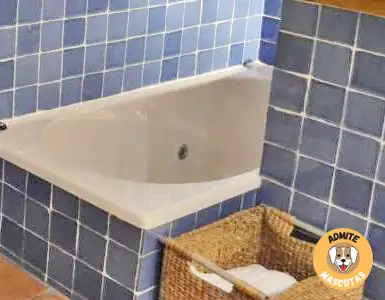 Hoteles con bañera de hidromasaje en la habitación Teruel