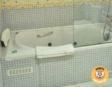 Hoteles con bañera de hidromasaje en la habitación Teruel