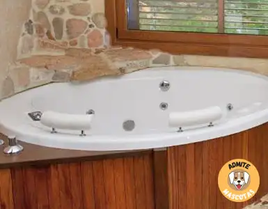 Hoteles con jacuzzi en la habitación Teruel