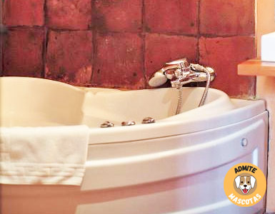 Hoteles con jacuzzi en la habitación Valencia