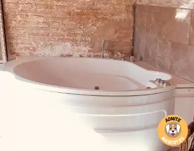 Hoteles con bañera de hidromasaje en la habitación Zaragoza