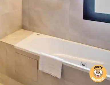Hoteles con jacuzzi en la habitación Andorra, Pas de la Casa