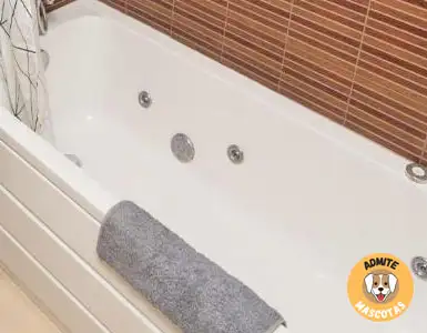 Hoteles con bañera de hidromasaje en la habitación Andorra, Bordes d'Envalira