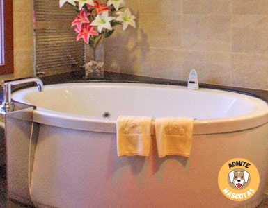 Hoteles con jacuzzi en la habitación Andorra, Escaldes