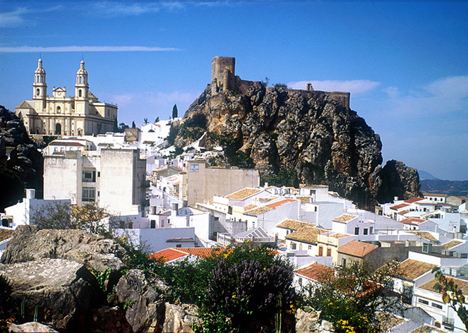 Olvera