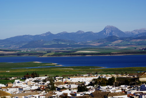 Bornos